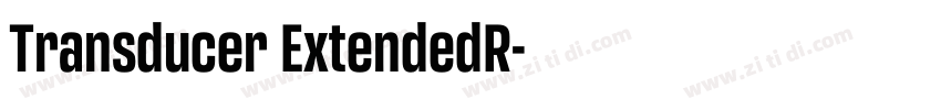 Transducer ExtendedR字体转换